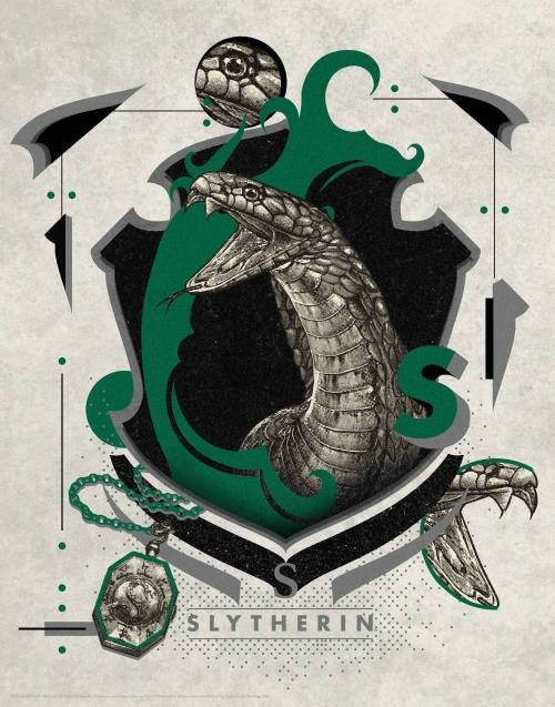Harry Potter : Serpentard ; carnet ligné avec pochette - Collectif - Huginn  & Muninn - Papeterie / Coloriage - Librairie Martelle AMIENS