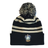 Harry potter bonnet house ravenclaw