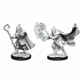 Critical role miniatures à peindre hobgoblin wizard and druid male (carton de 2)