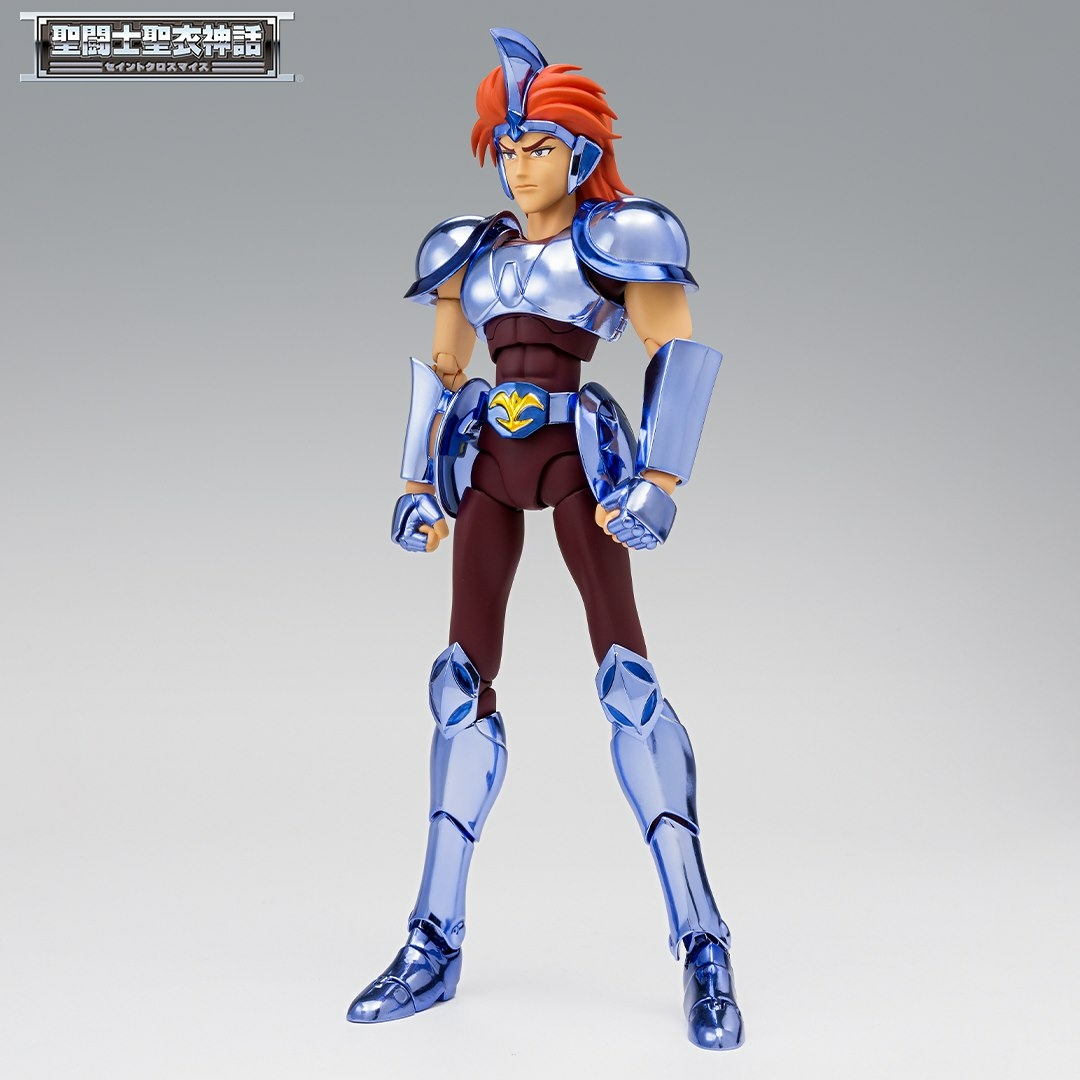 Héros d'anime - Saint Seiya, les chevaliers du zodiaque - Figurine Héros  d'anime 17 cm