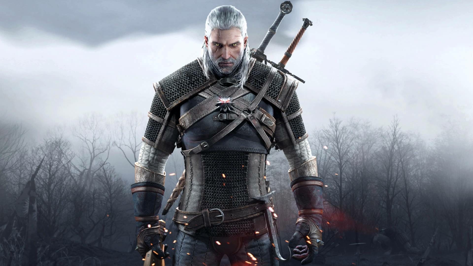 the witcher 3 wild at heart best choice