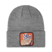 Dragon ball - bonnet capslab gris - goku