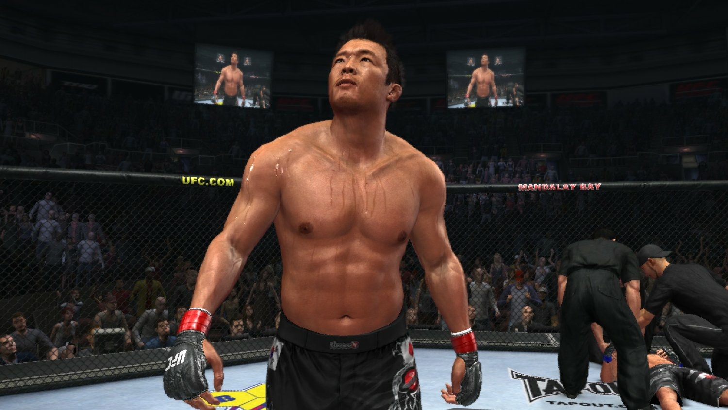 ufc undisputed 2010 free download for android