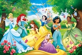 Disney - princesses - puzzle maxi 60p