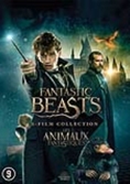 Les animaux fantastiques - 3-film collection - DVD