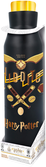 Harry potter - quidditch  bouteille en acier inoxydable diabolo -580ml