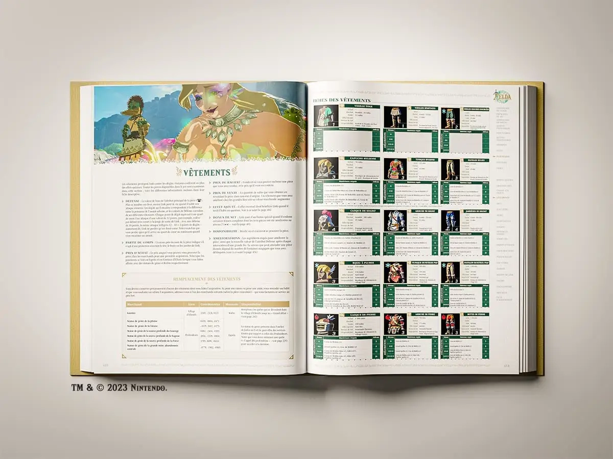 Guide officiel Zelda Tears Of The Kingdom Edition Collector sur Nintendo  Switch - Jeux vidéo