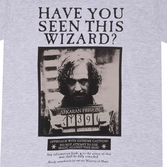 Harry potter - sirius black poster