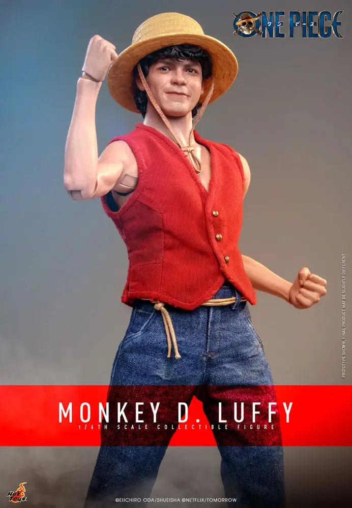 PRÉ VENDA: Action Figure Monkey D. Luffy Iñaki Godoy: One Piece A Serie  Live Action Netflix Anime Escala 1/6 - Hot Toys - Toyshow Tudo de Marvel DC  Netflix Geek Funko Pop Colecionáveis