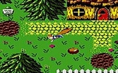 Conker's Pocket Tales - Game Boy Color
