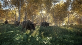 The Hunter Call of the Wild - PC