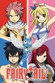 FAIRY TAIL - Poster 61X91 - Quad