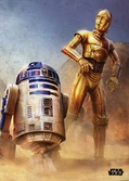 EPISODE IV A NEW HOPE- Magnetic Metal Poster 15x10 - Droids