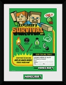 MINECRAFT - Collector Print 30X40 - Survival Kit