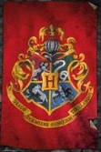 HARRY POTTER - Poster 61X91 - Hogwarts Flag - Posters